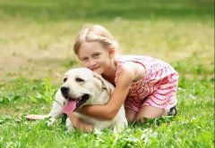 養狗一陣子，狗記一輩子