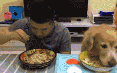 如果你家也有只吃貨狗狗，這點一定要注意！