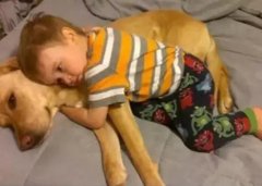 養(yǎng)狗千日，用在一時。。。。。